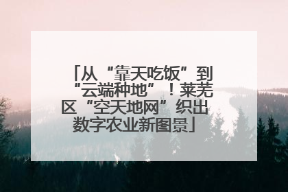从“靠天吃饭”到“云端种地”！莱芜区“空天地网”织出数字农业新图景