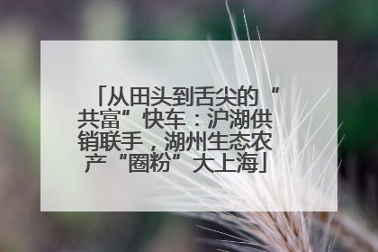 从田头到舌尖的“共富”快车：沪湖供销联手，湖州生态农产“圈粉”大上海