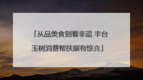 从品美食到看非遗 丰台玉树消费帮扶展有惊喜