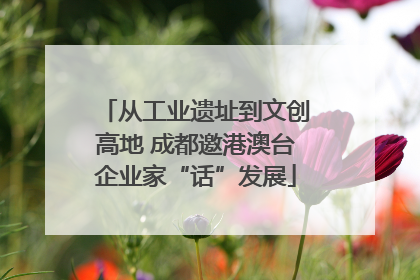 从工业遗址到文创高地 成都邀港澳台企业家“话”发展