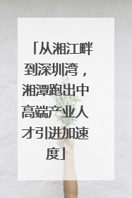 从湘江畔到深圳湾，湘潭跑出中高端产业人才引进加速度