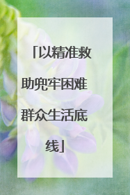 以精准救助兜牢困难群众生活底线
