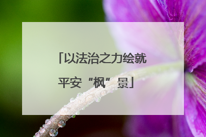 以法治之力绘就平安“枫”景