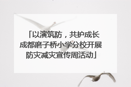 以演筑防，共护成长 成都磨子桥小学分校开展防灾减灾宣传周活动