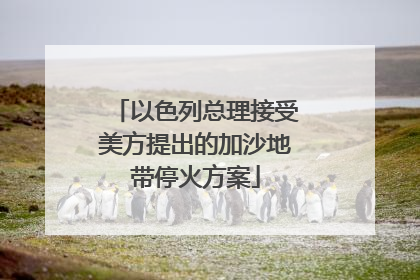 以色列总理接受美方提出的加沙地带停火方案