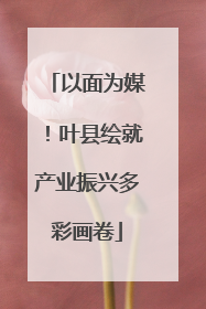 以面为媒！叶县绘就产业振兴多彩画卷