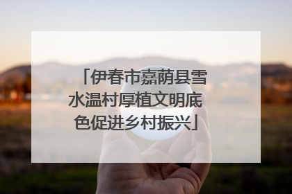伊春市嘉荫县雪水温村厚植文明底色促进乡村振兴