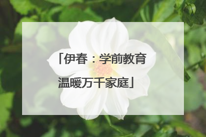 伊春：学前教育温暖万千家庭