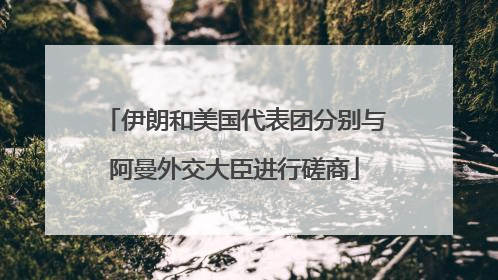 伊朗和美国代表团分别与阿曼外交大臣进行磋商
