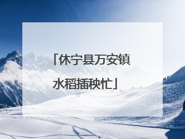 休宁县万安镇水稻插秧忙