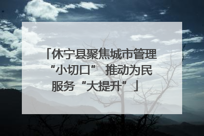 休宁县聚焦城市管理“小切口” 推动为民服务“大提升”