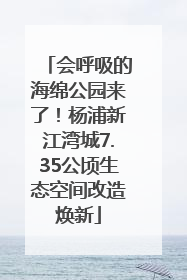 会呼吸的海绵公园来了！杨浦新江湾城7.35公顷生态空间改造焕新