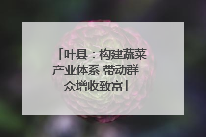 叶县：构建蔬菜产业体系 带动群众增收致富
