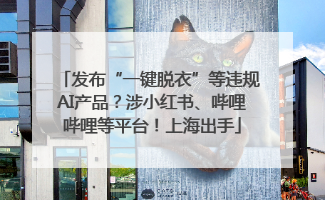 发布“一键脱衣”等违规AI产品？涉小红书、哔哩哔哩等平台！上海出手