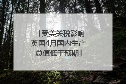 受美关税影响 英国4月国内生产总值低于预期