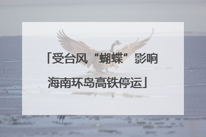 受台风“蝴蝶”影响 海南环岛高铁停运