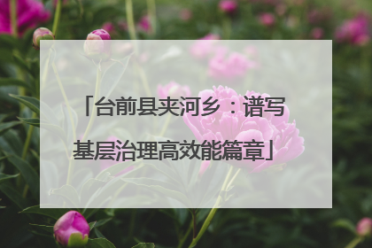 台前县夹河乡：谱写基层治理高效能篇章