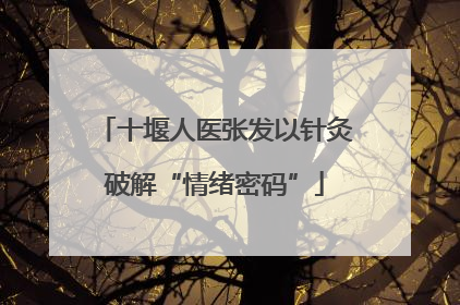 十堰人医张发以针灸破解“情绪密码”