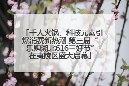 千人火锅、科技元素引爆消费新热潮 第三届“乐购湖北616三好节”在夷陵区盛大启幕