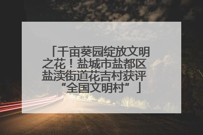 千亩葵园绽放文明之花！盐城市盐都区盐渎街道花吉村获评“全国文明村”