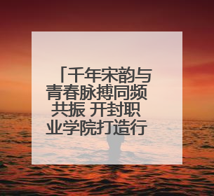 千年宋韵与青春脉搏同频共振 开封职业学院打造行走的文化课堂