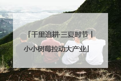 千里追耕·三夏时节丨小小树莓拉动大产业