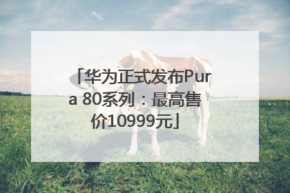华为正式发布Pura 80系列：最高售价10999元