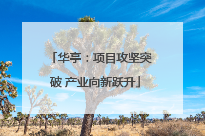 华亭：项目攻坚突破 产业向新跃升