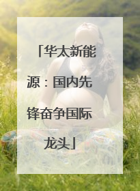 华太新能源：国内先锋奋争国际龙头