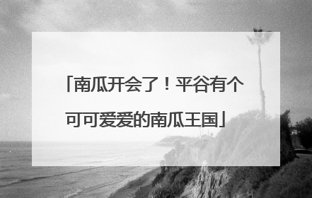 南瓜开会了！平谷有个可可爱爱的南瓜王国