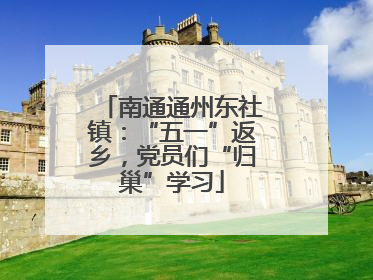 南通通州东社镇：“五一”返乡，党员们“归巢”学习
