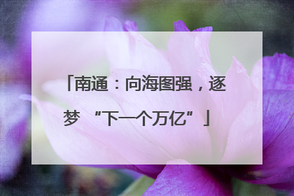 南通：向海图强，逐梦 “下一个万亿”