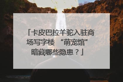 卡皮巴拉羊驼入驻商场写字楼 “萌宠馆”暗藏哪些隐患？