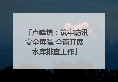 卢峰镇：筑牢防汛安全屏障 全面开展水库排查工作