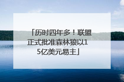 历时四年多！联盟正式批准森林狼以15亿美元易主