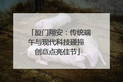厦门翔安：传统端午与现代科技碰撞 创意点亮佳节