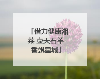借力健康湘菜 壶天石羊香飘星城