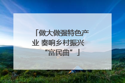 做大做强特色产业 奏响乡村振兴“富民曲”