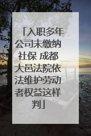 入职多年公司未缴纳社保 成都大邑法院依法维护劳动者权益这样判