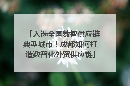 入选全国数智供应链典型城市！成都如何打造数智化外贸供应链