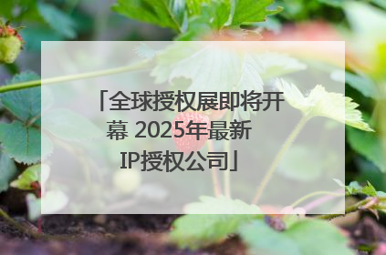 全球授权展即将开幕 2025年最新IP授权公司