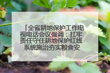全省耕地保护工作电视电话会议强调:扛牢责任守住耕地保护红线 系统施治夯实粮食安全根基 王宁作出批示 王予波出席并讲话