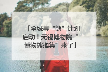 全城寻“熊”计划启动！无锡博物院“博物熊抱集”来了