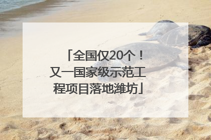 全国仅20个！又一国家级示范工程项目落地潍坊