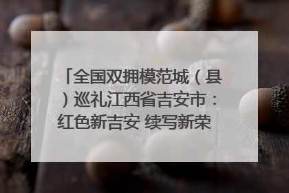 全国双拥模范城（县）巡礼江西省吉安市：红色新吉安 续写新荣光 奋力谱写新时代双拥工作新篇章