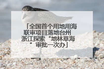 全国首个用地用海联审项目落地台州 浙江探索“地林草海”审批一次办