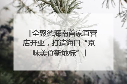 全聚德海南首家直营店开业，打造海口“京味美食新地标”