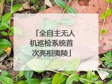 全自主无人机巡检系统首次亮相夷陵