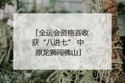 全运会资格赛收获“八进七” 中原龙狮闯佛山