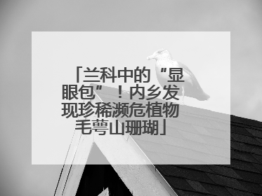 兰科中的“显眼包”！内乡发现珍稀濒危植物毛萼山珊瑚